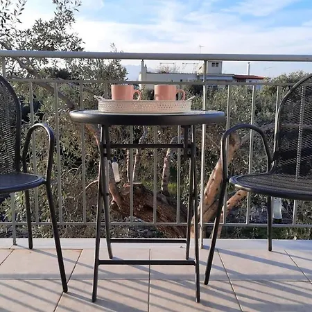 Daire Chrissi Princess *