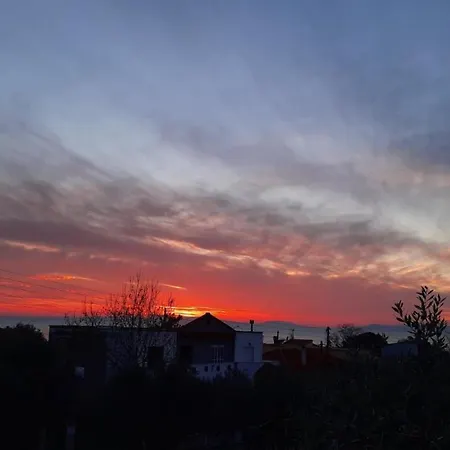 Daire Chrissi Princess *