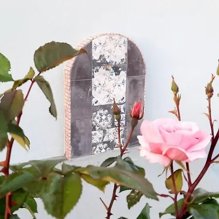 Chrissi Princess Daire